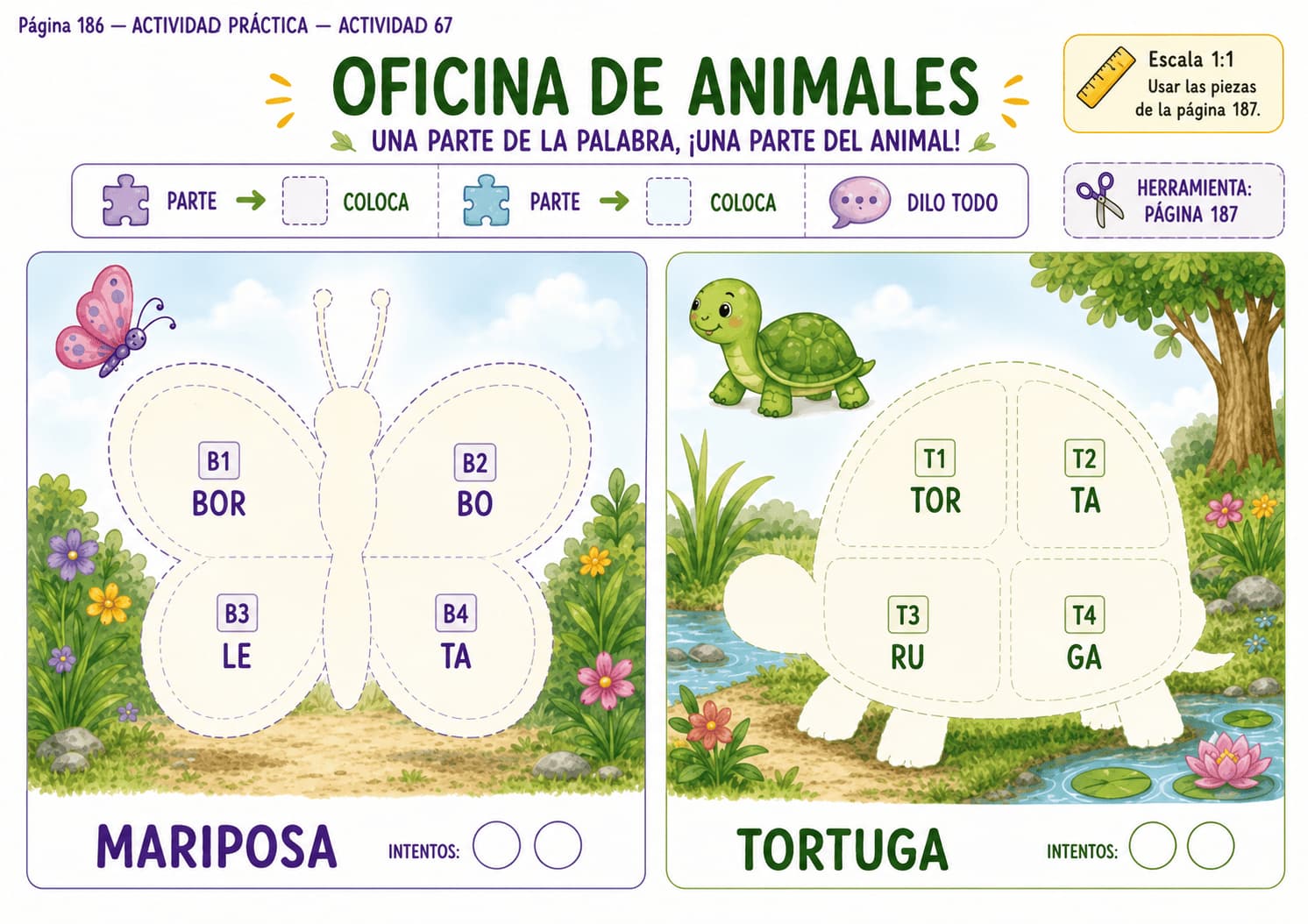 Material visual 2