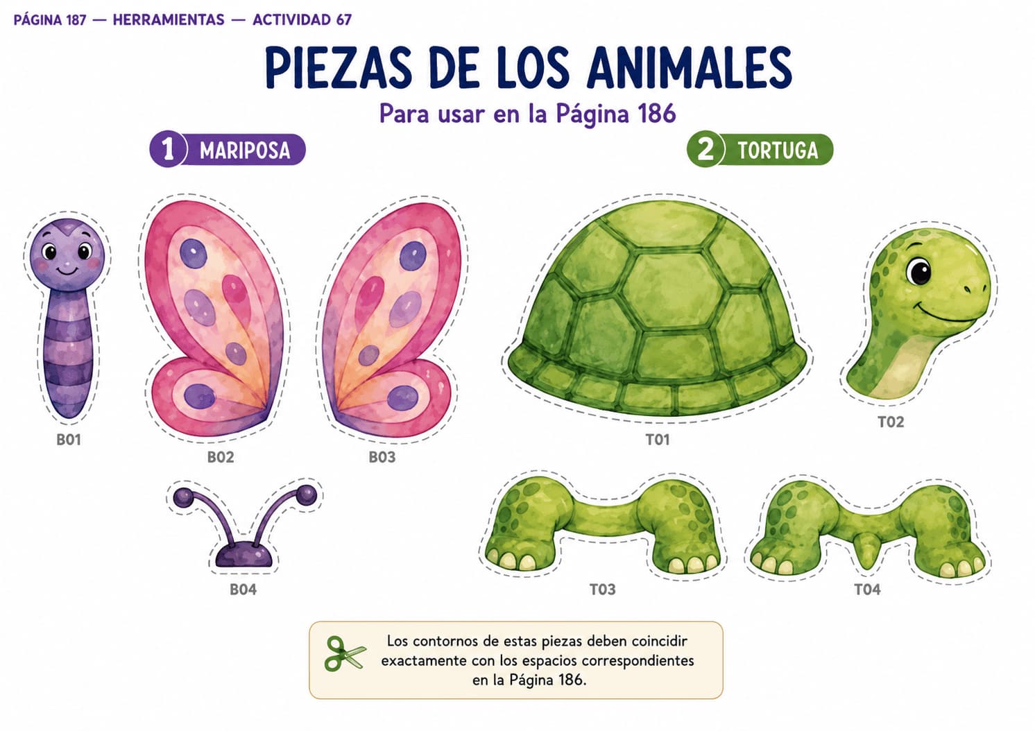 Material visual 5